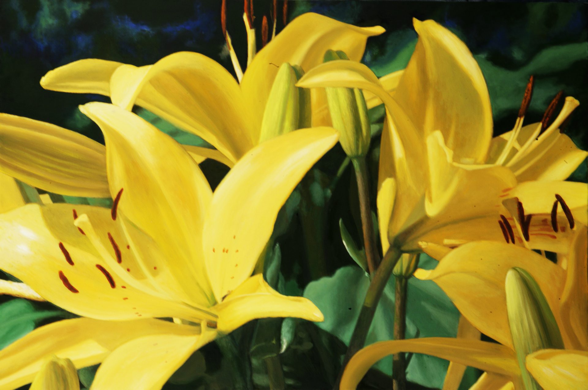 Byzov-lilies-1